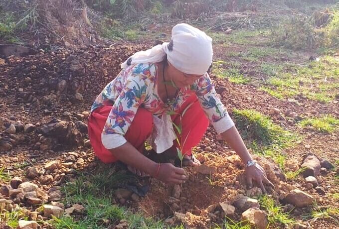 woman planting